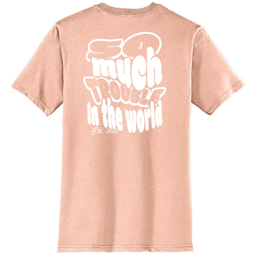 Dusty Peach - DT6000 - BACK