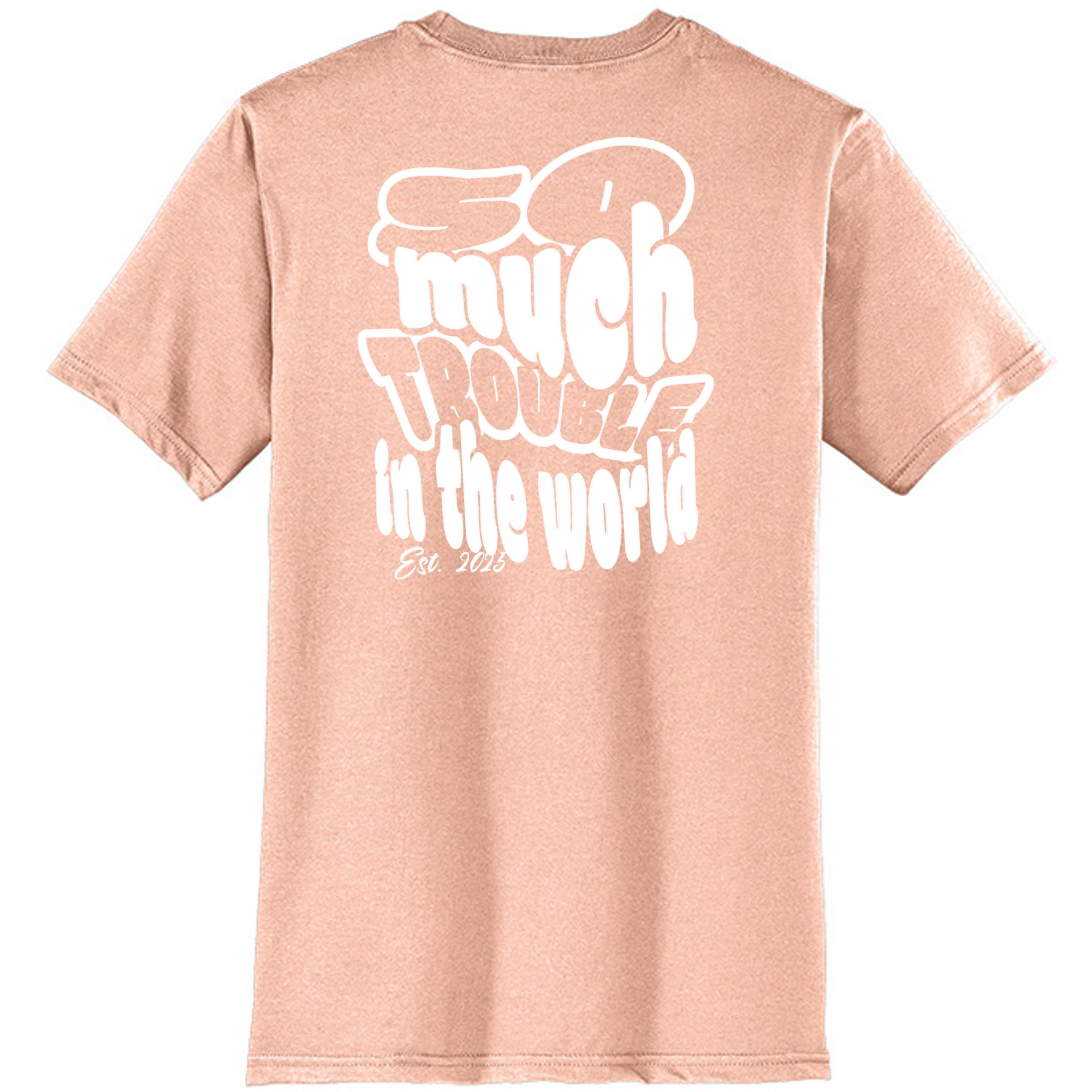 Dusty Peach - DT6000 - BACK