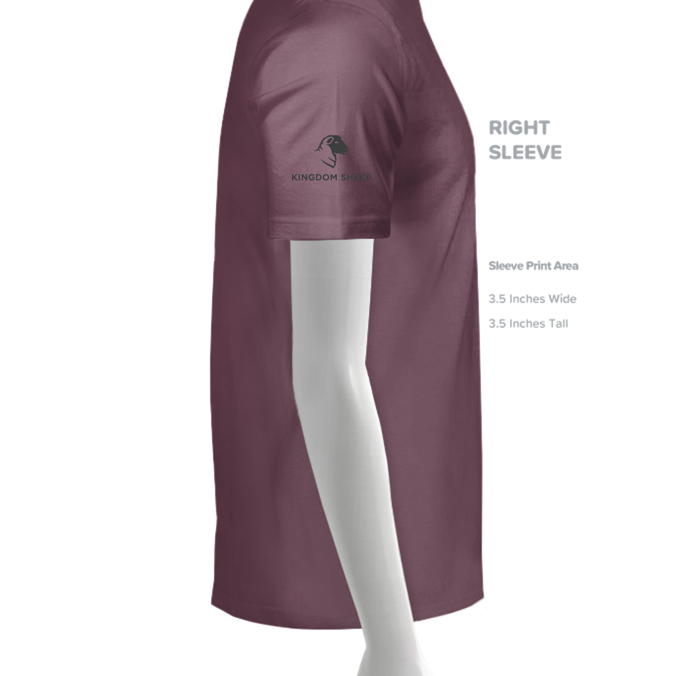 BERRY - C1717 - SLEEVE_RIGHT
