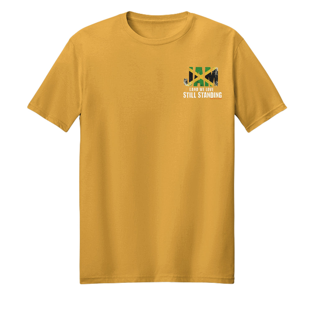 Warm Gold - DT106 - FRONT