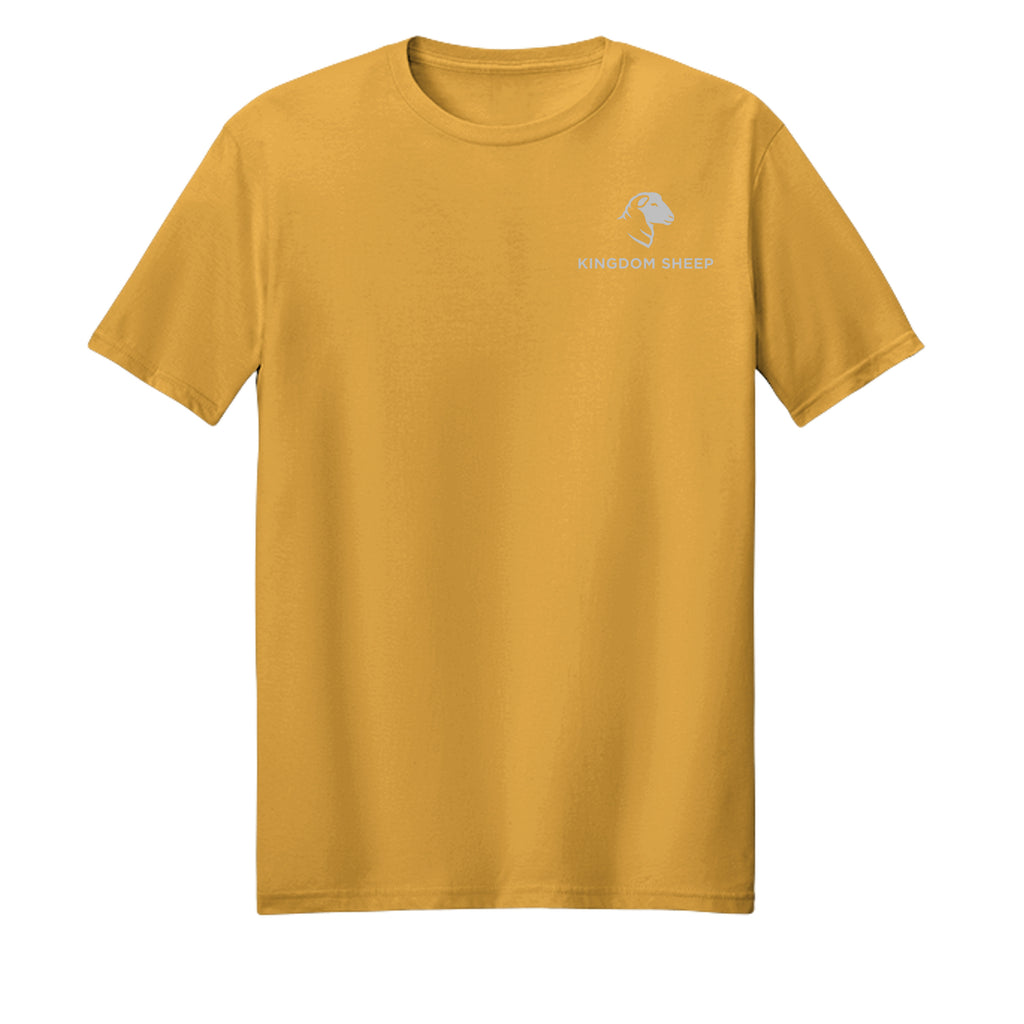 Warm Gold - DT106 - FRONT